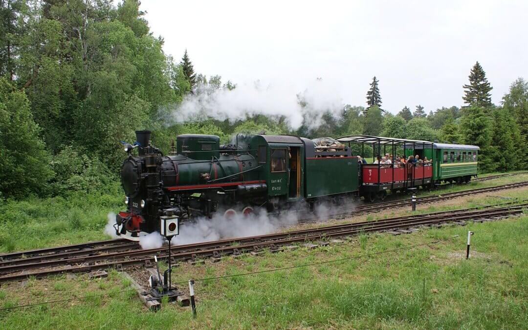 Steamdays at 31 July and 1st August