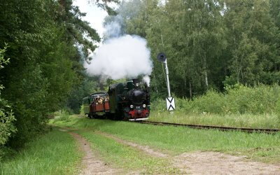 Steamdays in 26. and 27. of August