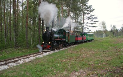 Паровые дни 14го и 15го июня 2025