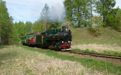 Steam days on 13 and 14 of June 2026